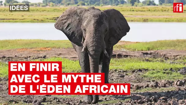 Comment est né le fantasme de l'Éden africain