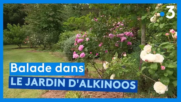 Balade dans le jardin botanique d'Alkinoos