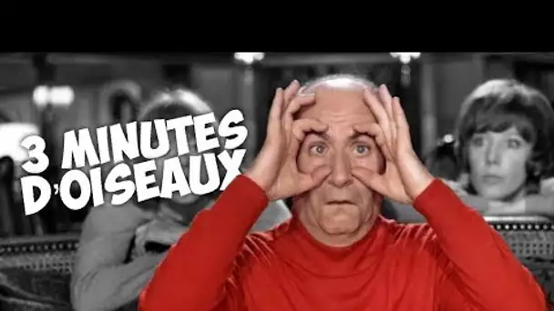 3 minutes d'oiseaux avec Louis de Funès !