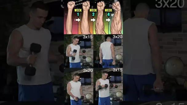 Best forearms workout at home ! 🔥