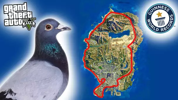 FAIRE LE TOUR DE LA MAP DE GTA 5 A PIED et en Pigeon