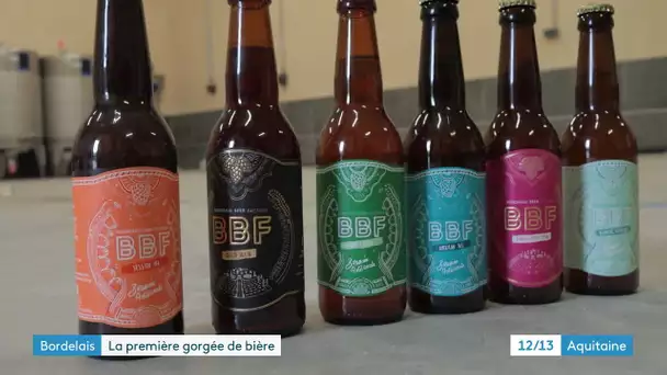 De plus en plus de fabricants de bière artisanale en Nouvelle-Aquitaine