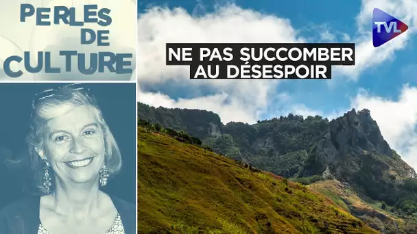 Ne pas succomber au désespoir - Perles de Culture n°335 - TVL