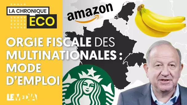 ORGIE FISCALE DES MULTINATIONALES : MODE D'EMPLOI