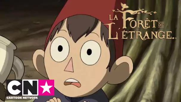 1er épisode en intégralité | La Forêt de l&#039;Étrange | Cartoon Network