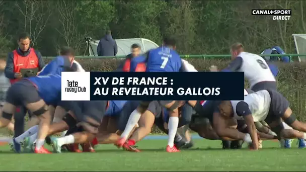 XV de France : Au révélateur gallois