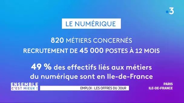 #ECM : Les offres d'emploi avec Pôle Emploi