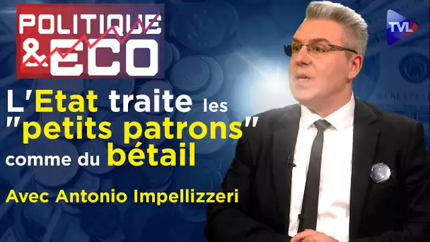 Prêt garanti par l'Etat : sortons de l'esclavage bancaire - Politique & Eco 411 avec A. Impellizzeri