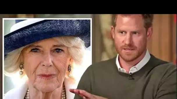 Harry qualifie Camilla de "dangereuse" et de "méchante" qui a conspiré contre lui