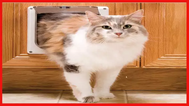 PetSafe Cat Door for Interior Doors - 2-Way or 4-Way Locking Pet Door Flap