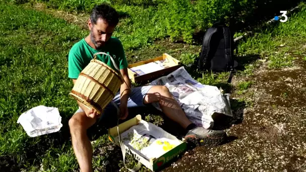 Vincent Lecomte, paysan herboriste à Besançon