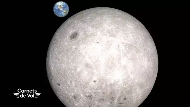 MA CITÉ DANS L’ESPACE : la Terre peut-elle être percutée par Venus ou Mars ? [CARNETS DE VOL #40]