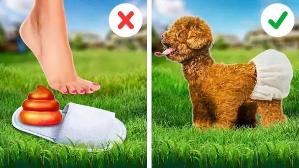 Les meilleures astuces pour les propriétaires d'animaux intelligents 😻🐶🔥