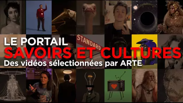 Explorez le portail "Savoirs & Cultures" avec Arte, le CNC et YouTube