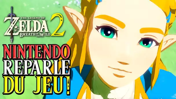 Zelda Breath of the Wild 2 : Nintendo Reparle du Jeu ! 🚨