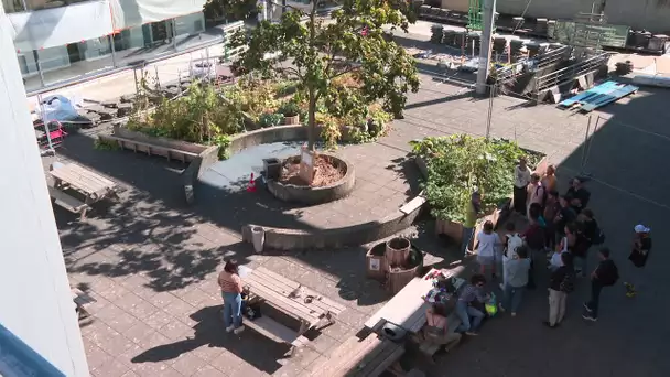 Création d'un jardin sur le parking de l'université à La Rochelle