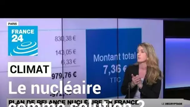 France : une relance "franche et massive" du nucléaire face à la crise climatique • FRANCE 24
