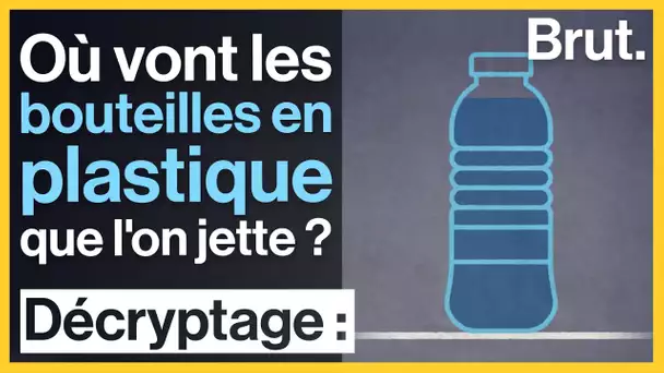 Que deviennent les bouteilles en plastique que l'on jette ?