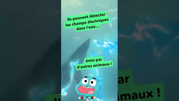 WAOUH : Les super pouvoirs des requins ! #shorts #requins @cartoonnetworkFR
