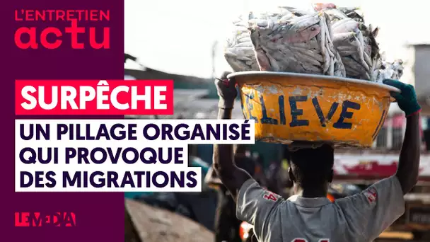 SURPÊCHE, UN PILLAGE ORGANISÉ QUI PROVOQUE DES MIGRATIONS