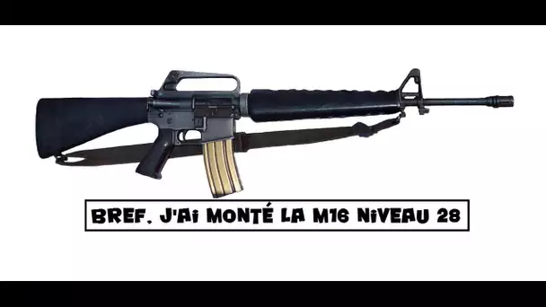 Bref, j'ai monté la M16 niveau 28 épisode 1