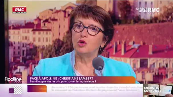 "Quand on a des animaux, c'est compliqué de baisser sa consommation", Christiane Lambert