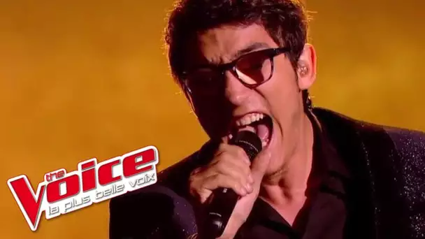 Michael Jackson – Earth Song | Vincent Vinel | The Voice France 2017| Demi-Finale