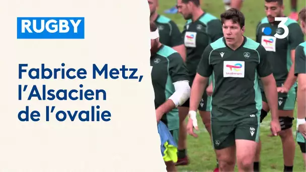 Rugby : Fabrice Metz, le seul joueur alsacien dans le Top 14