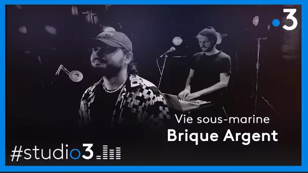 Studio3. Brique Argent chante "Vie sous-marine"