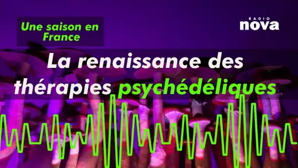 La renaissance des thérapies psychédéliques