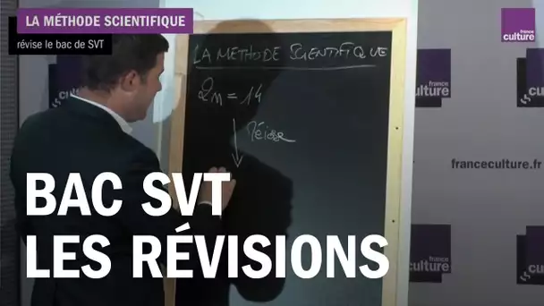 Les révisions du bac SVT : évolution du vivant et enjeux planétaires - La Méthode scientifique