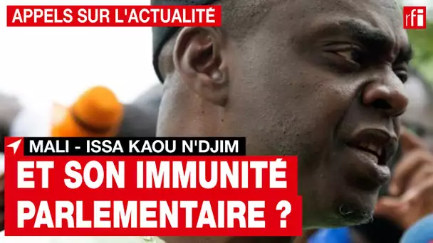 Mali : les déboires judiciaires d'Issa Kaou N'Djim • RFI