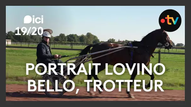 Lovino Bello, le meilleur jeune trotteur de France est Sarthois