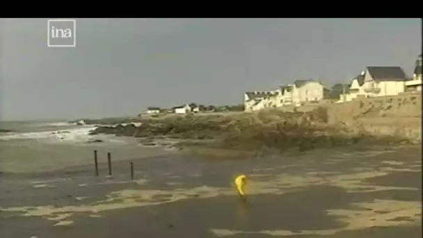 Erika : Arrivée de la marée noire sur les côtes de Loire-Atlantique (INA - 26/12/1999)