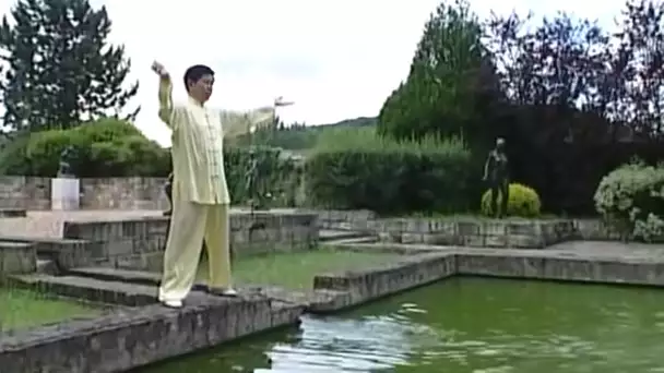 Les 18 exercices du Tai Ji Qi Gong