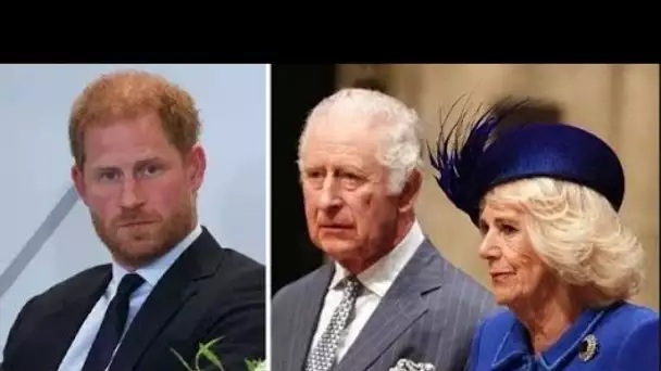 La « vraie raison » pour laquelle le roi Charles voudra la reine Camilla à toute rencontre