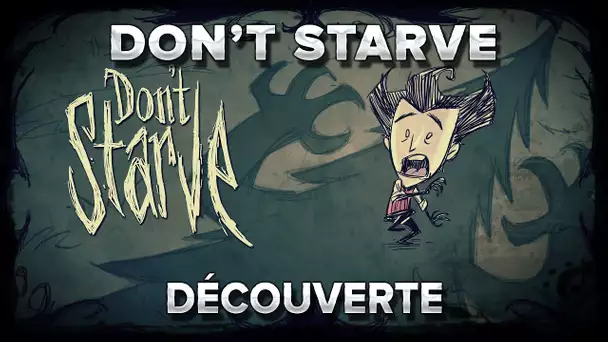 Don&#039;t Starve : Découverte