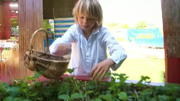 Les mini potagers