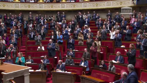 Les députés votent à une large majorité l'inscription de l'IVG dans la Constitution