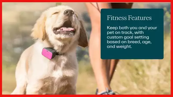 Whistle GO Explore GPS + Health + Fitness Dog Tracker Plus Health & Fitness Monitor, Waterproof