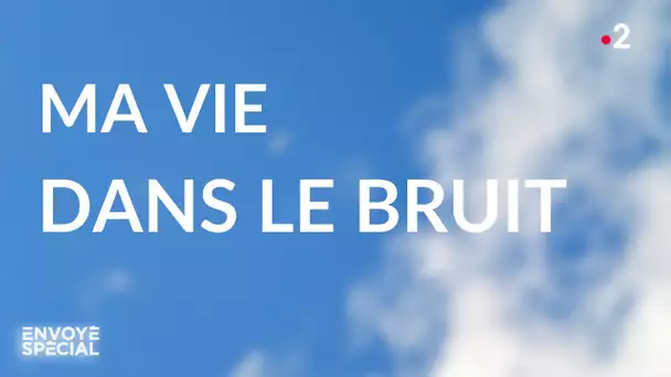 Envoyé spécial. Ma vie dans le bruit - 16 janvier 2020 (France 2)