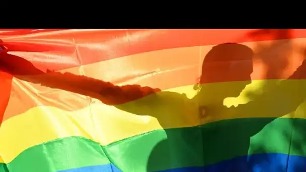 Les députés gabonais approuvent la dépénalisation de l'homosexualité