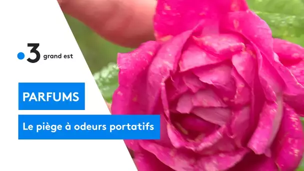 Une start up lorraine invente le piège à odeurs portatif