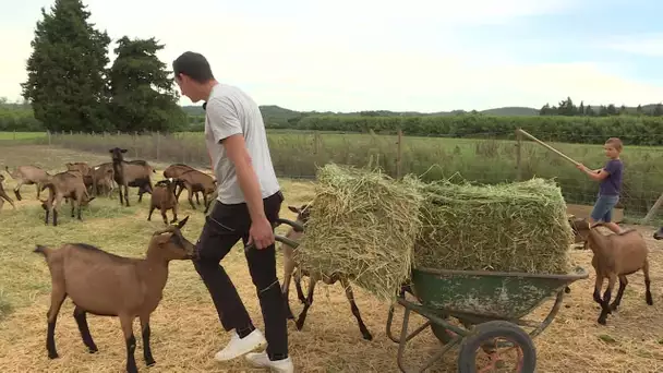 Reconversion difficile pour un agriculteur en Vaucluse qui ne bénéficie d'aucune aide