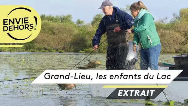 Envie Dehors : Grand-Lieu les mystères du lac, extrait