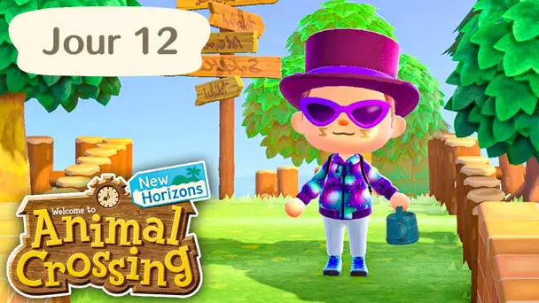 Jour 12 | Construction de Routes (mais sans routes) | Animal Crossing : New Horizons