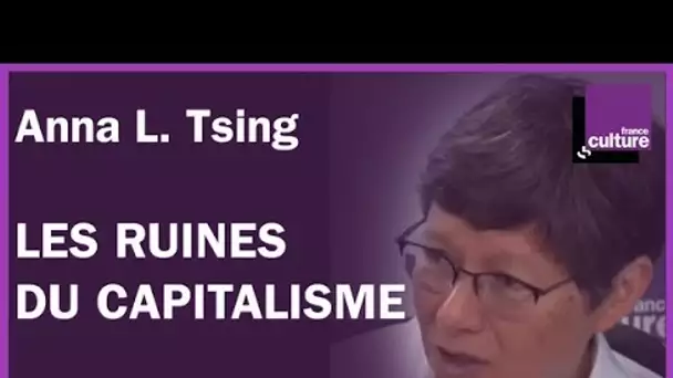 Anna L. Tsing : les ruines du capitalisme