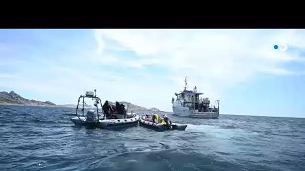 Toulon : la préfecture maritime coordonne une impressionnante opération de déminage