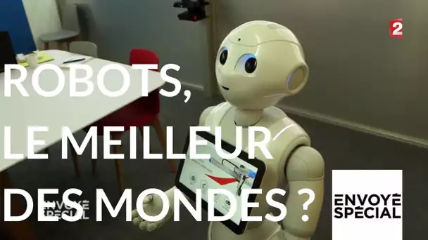 Envoyé spécial. Robots le meilleur des mondes - 11 janvier 2018 (France 2)