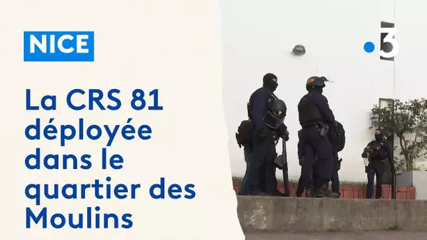 Vaste opération de police aux Moulins, à Nice, après une fusillade qui a fait deux blessés graves